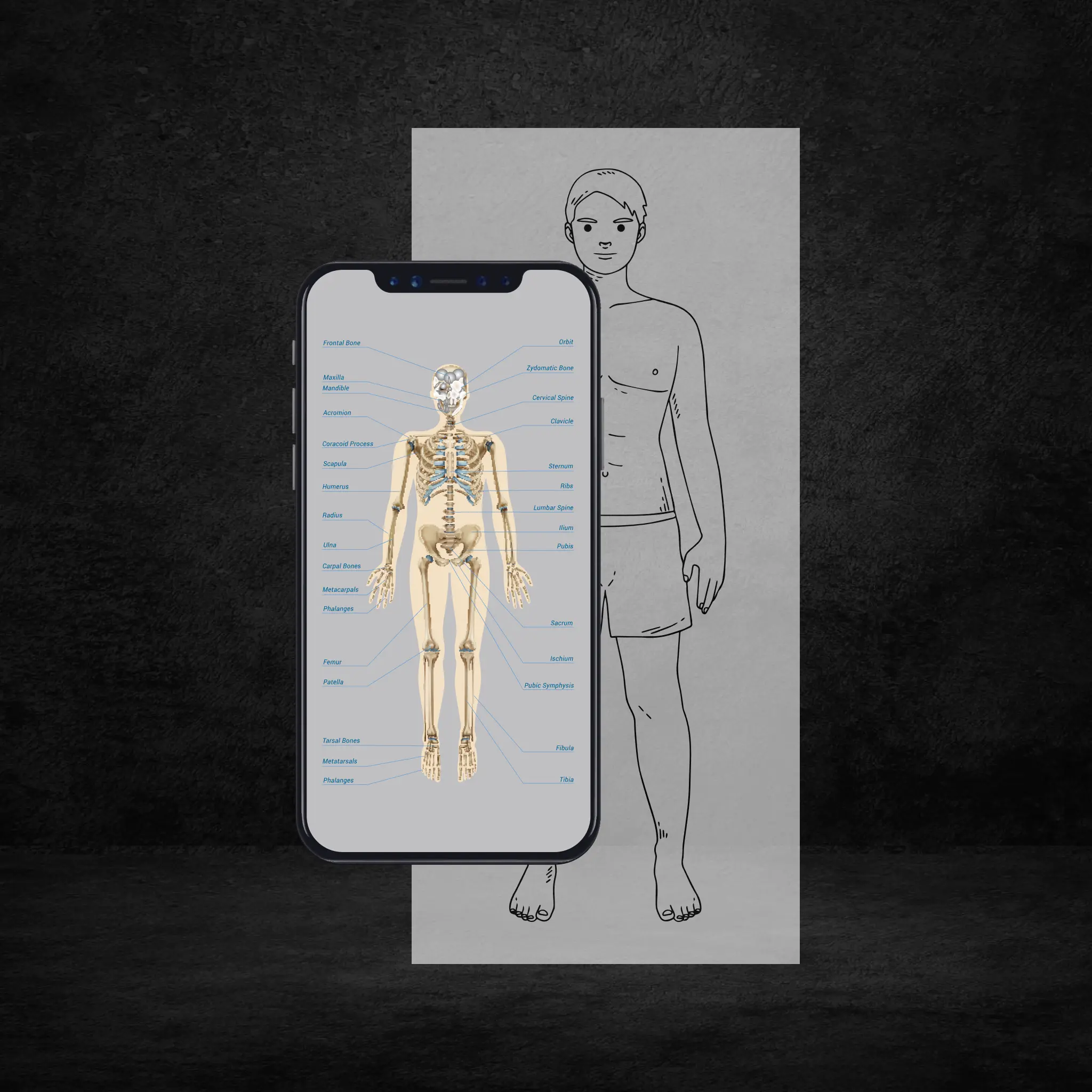 AR Health Care