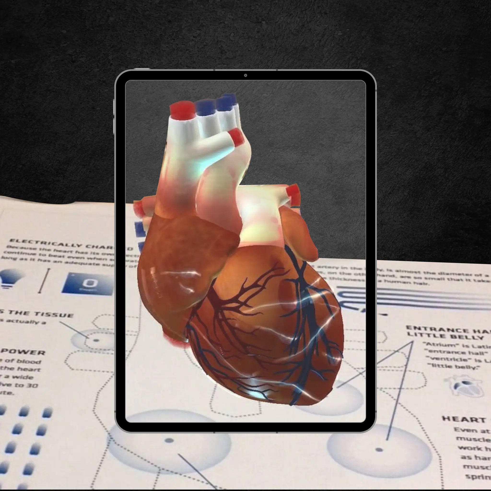 AR Health Care