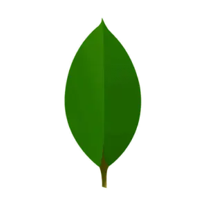 MongoDB